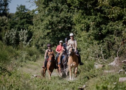 cavaliers à cheval en pleine nature en randonnée dans la magnifique forêt de Lyons