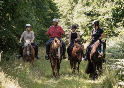 un groupe de cavalières en balade à cheval au pas sur un chemin de forêt avec leur accompagnateur