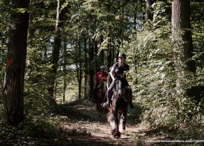 des cavaliers à cheval en forêt
