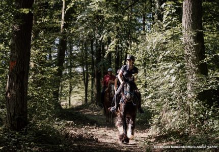 À cheval en Normandie !