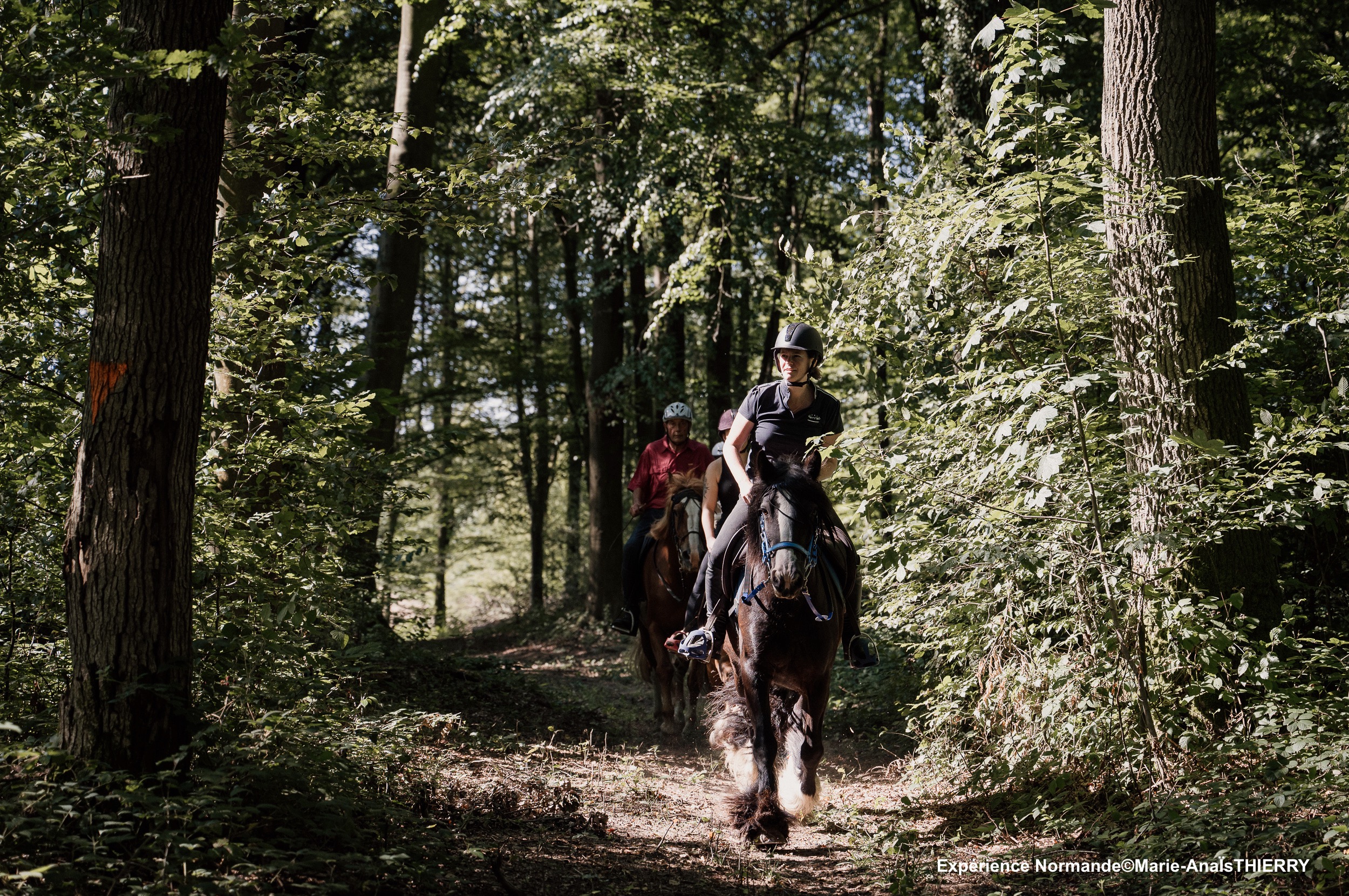 À cheval en Normandie !