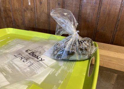 Mise en sachets des crottins