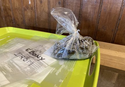 OPÉRATION CROTTINS !