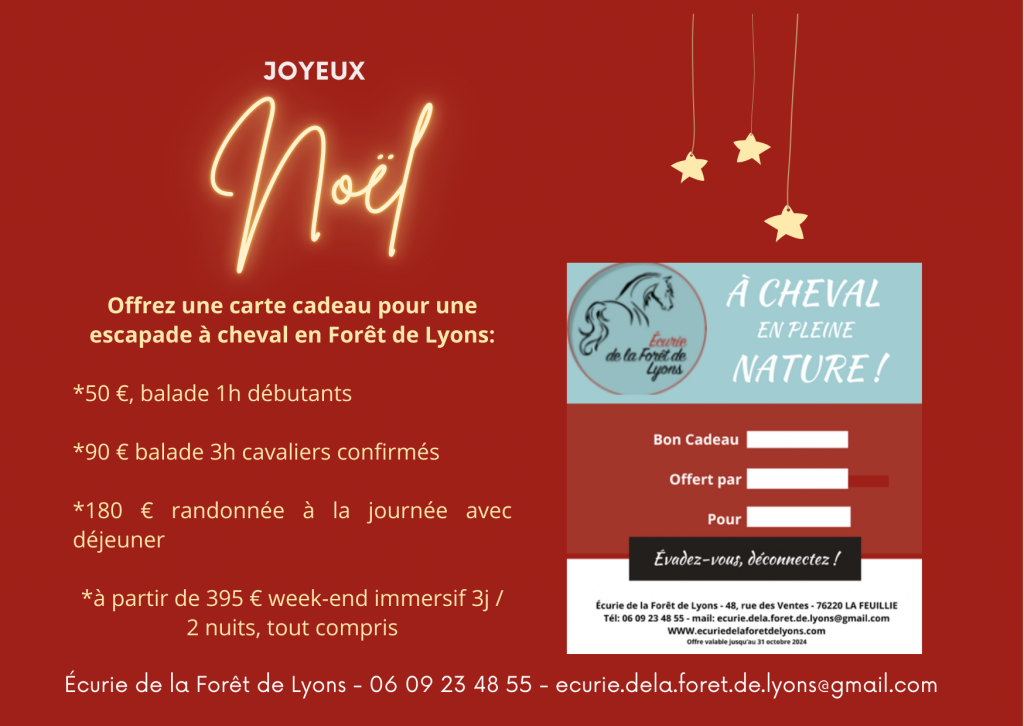 carte cadeau pour une escapade à cheval