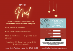carte cadeau pour une escapade à cheval