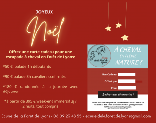 carte cadeau pour une escapade à cheval
