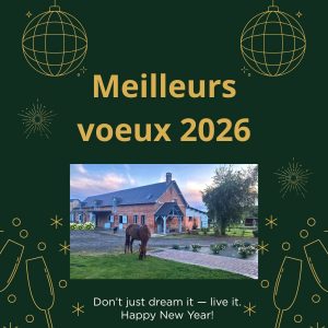 carte de voeux avec notre écurie maison d'hôtes.