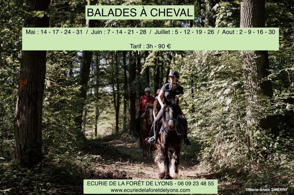 Balade à cheval en forêt